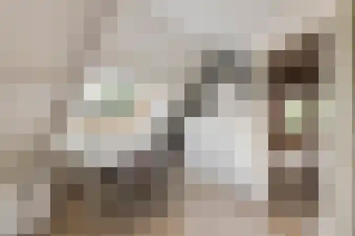 Wijenburghlaan 10 Tiel thumbnail 26
