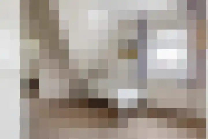 Wijenburghlaan 10 Tiel thumbnail 27