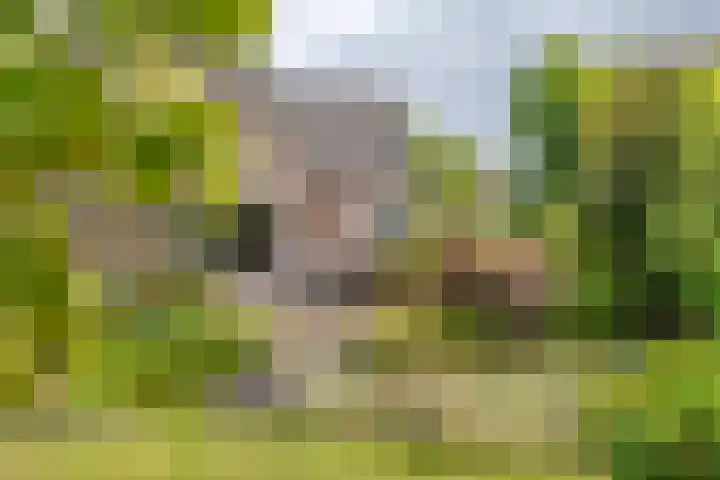 Wijenburghlaan 10 Tiel foto 3