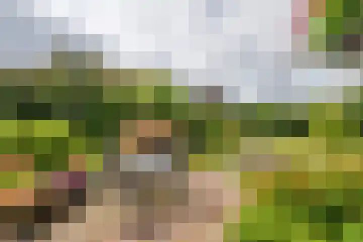 Wijenburghlaan 10 Tiel thumbnail 33