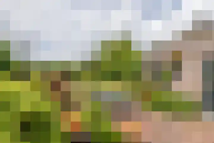 Wijenburghlaan 10 Tiel thumbnail 34