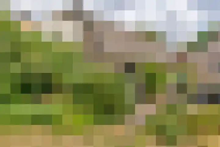 Wijenburghlaan 10 Tiel thumbnail 35
