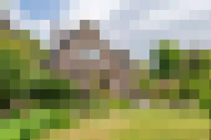 Wijenburghlaan 10 Tiel thumbnail 36