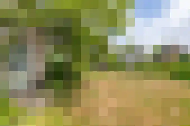 Wijenburghlaan 10 Tiel thumbnail 39