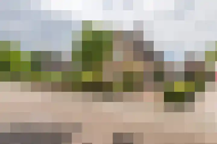 Wijenburghlaan 10 Tiel thumbnail 40