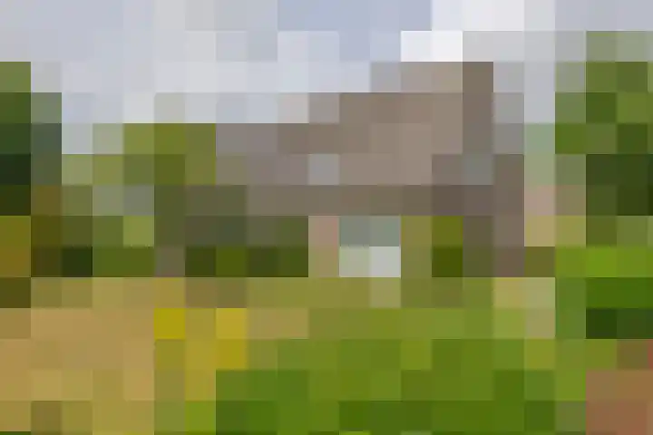 Wijenburghlaan 10 Tiel thumbnail 41