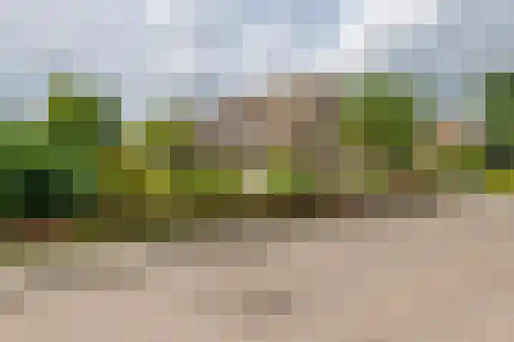 Wijenburghlaan 10 Tiel thumbnail 42
