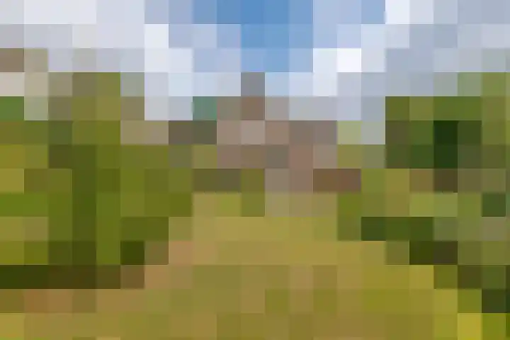Wijenburghlaan 10 Tiel thumbnail 43