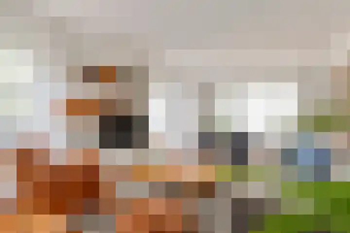 Wijenburghlaan 10 Tiel thumbnail 6
