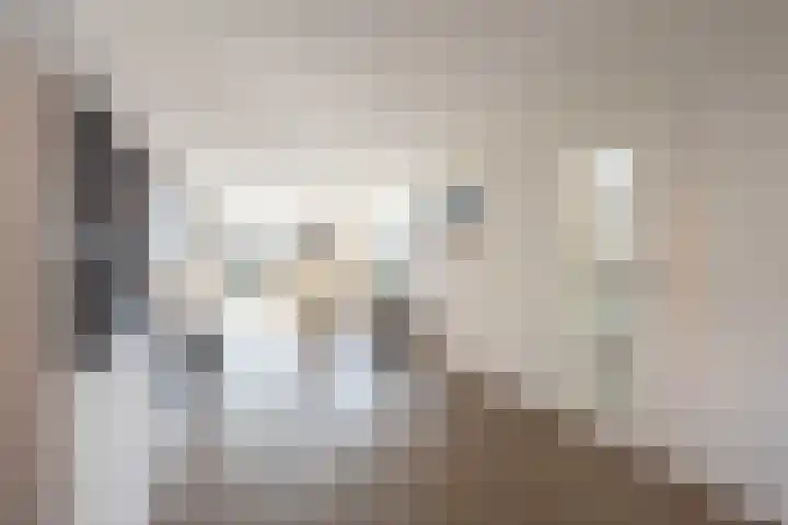 Wijenburghlaan 16 Tiel thumbnail 10