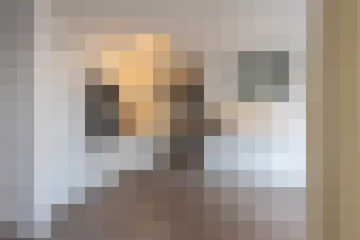 Wijenburghlaan 16 Tiel thumbnail 15