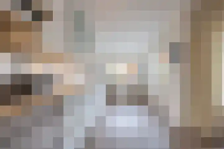 Wijenburghlaan 16 Tiel thumbnail 19