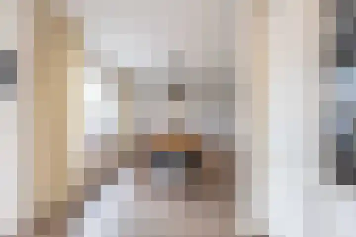 Wijenburghlaan 16 Tiel thumbnail 20