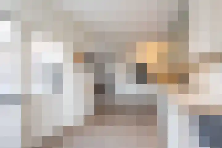Wijenburghlaan 16 Tiel thumbnail 21