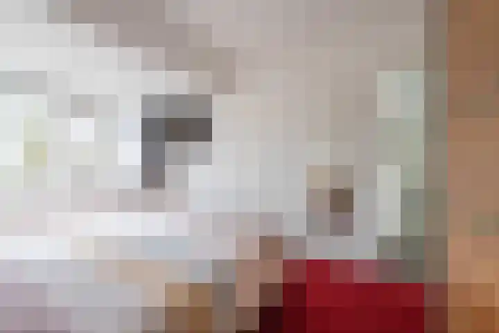 Wijenburghlaan 16 Tiel thumbnail 26