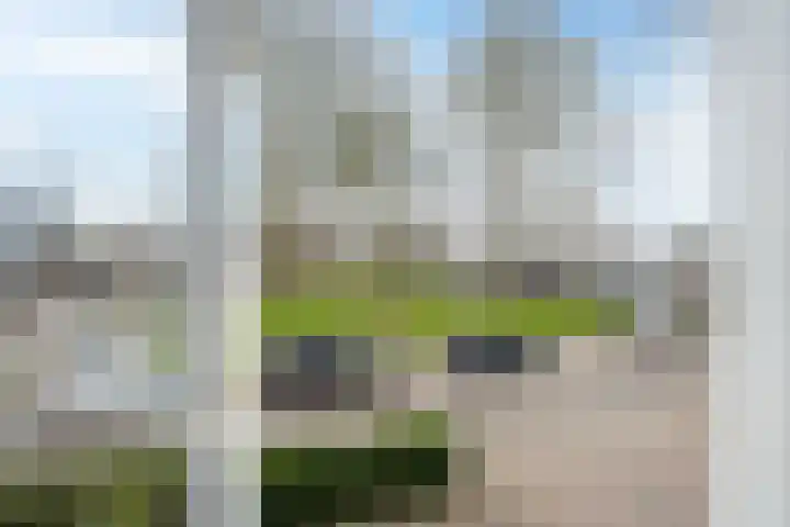 Wijenburghlaan 16 Tiel thumbnail 27