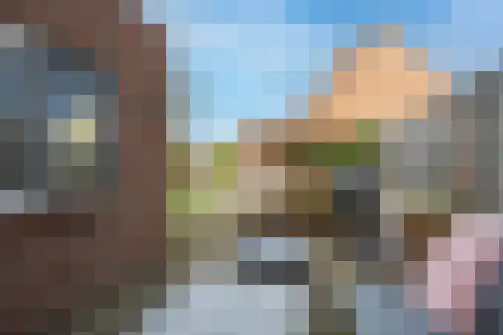 Wijenburghlaan 16 Tiel thumbnail 42