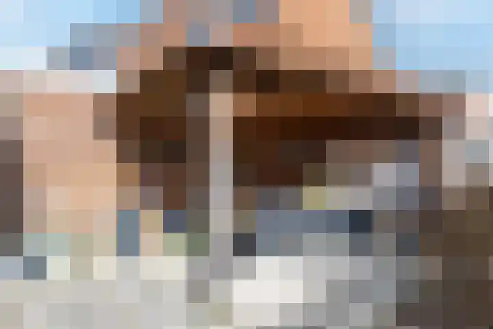 Wijenburghlaan 16 Tiel thumbnail 45