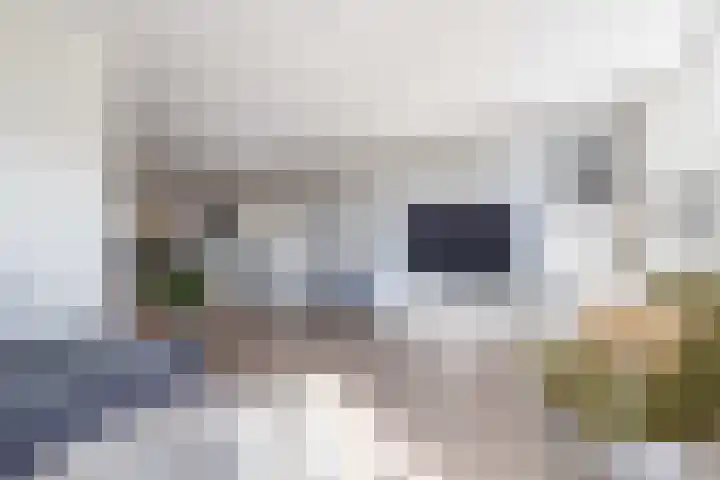 Wijenburghlaan 16 Tiel thumbnail 5