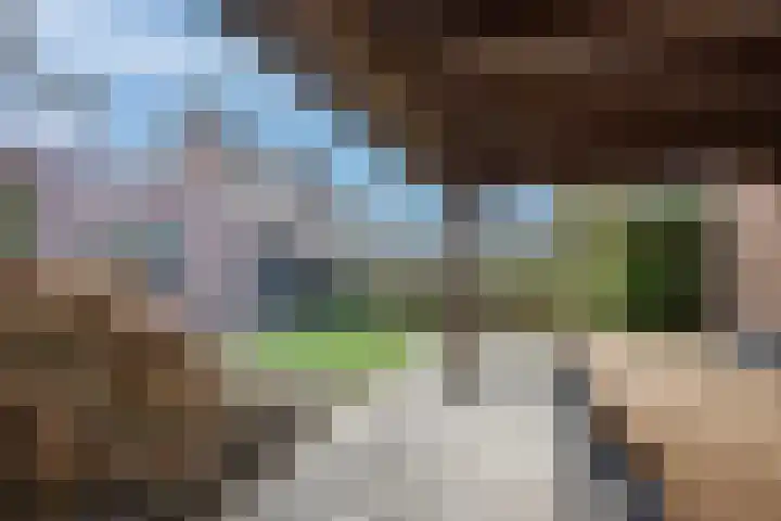 Wijenburghlaan 16 Tiel thumbnail 51