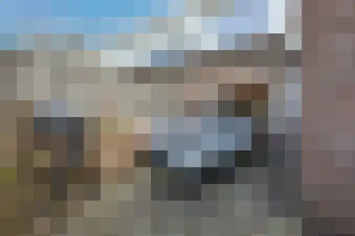 Wijenburghlaan 16 Tiel thumbnail 53