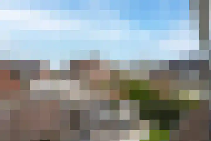 Wijenburghlaan 16 Tiel thumbnail 54