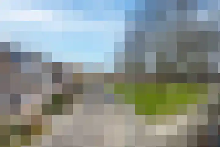 Wijenburghlaan 16 Tiel thumbnail 60