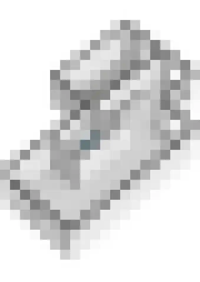 Wijenburghlaan 16 Tiel thumbnail 64