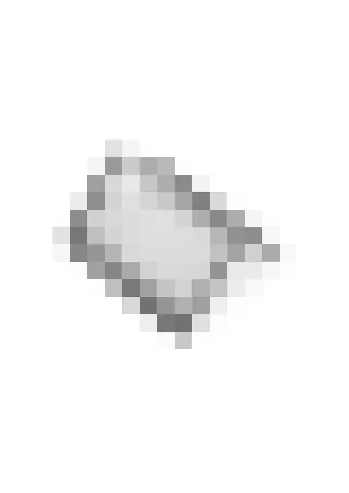 Wijenburghlaan 16 Tiel thumbnail 68