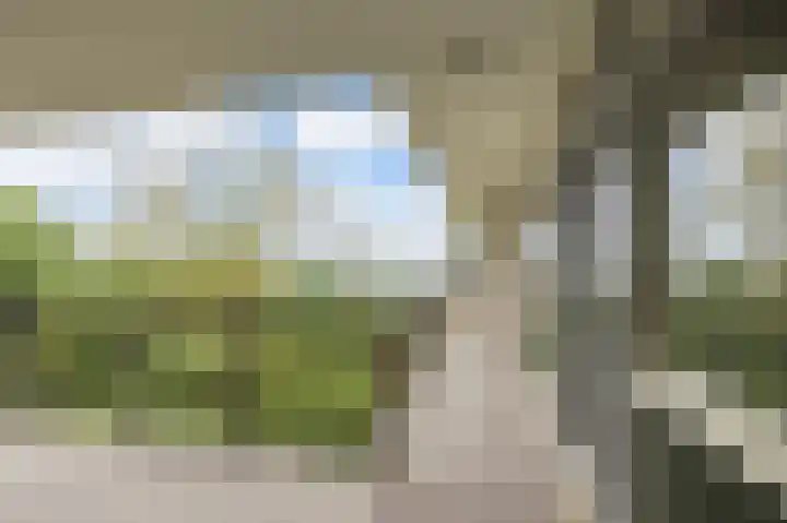Wijenburglaan 107 Arnhem thumbnail 11