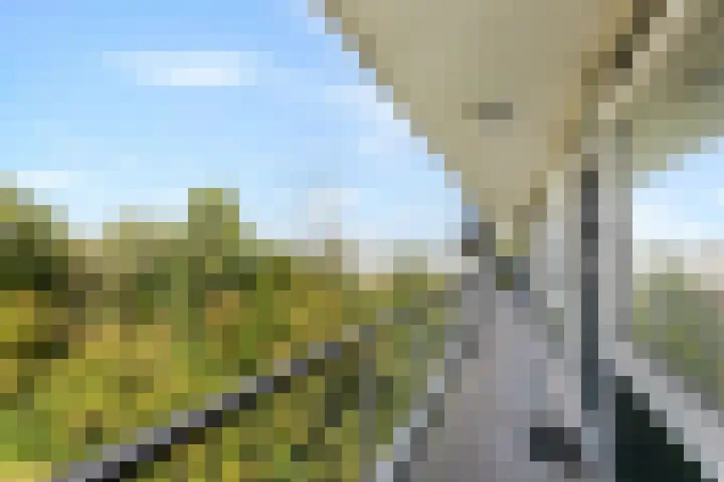 Wijenburglaan 111 Arnhem thumbnail 12