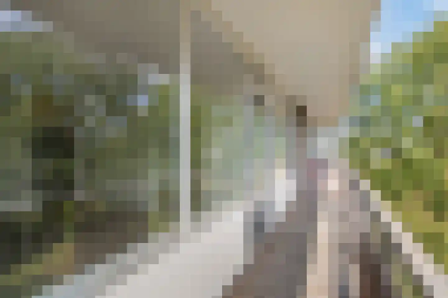 Wijenburglaan 111 Arnhem thumbnail 16