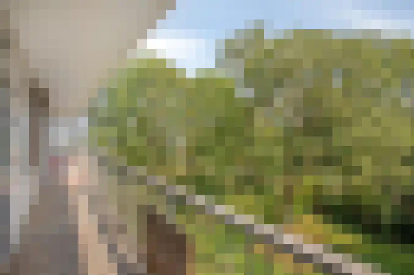 Wijenburglaan 111 Arnhem thumbnail 17