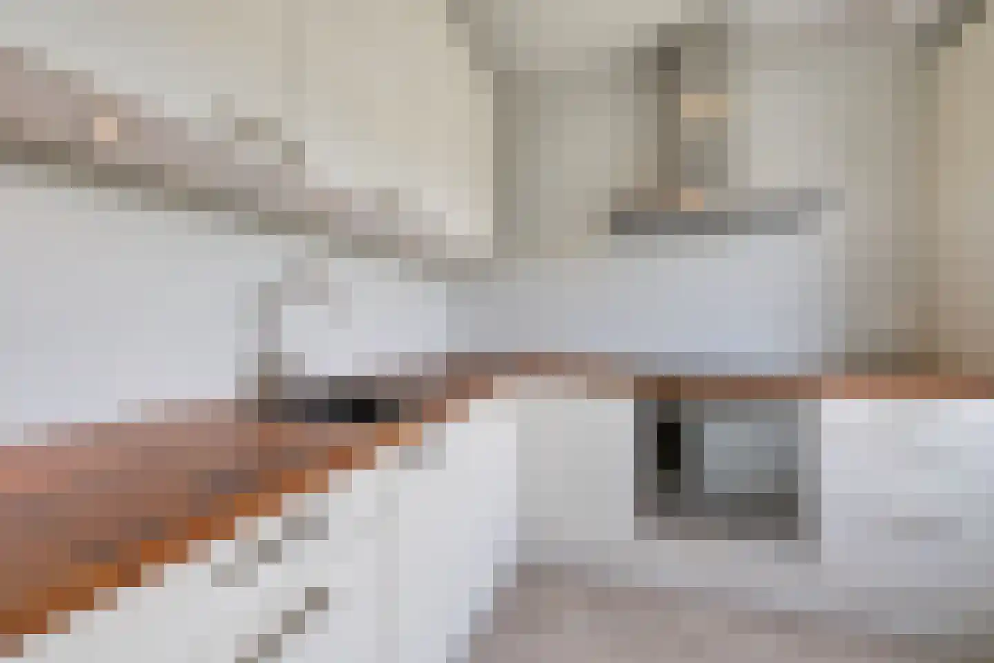 Wijenburglaan 111 Arnhem thumbnail 20