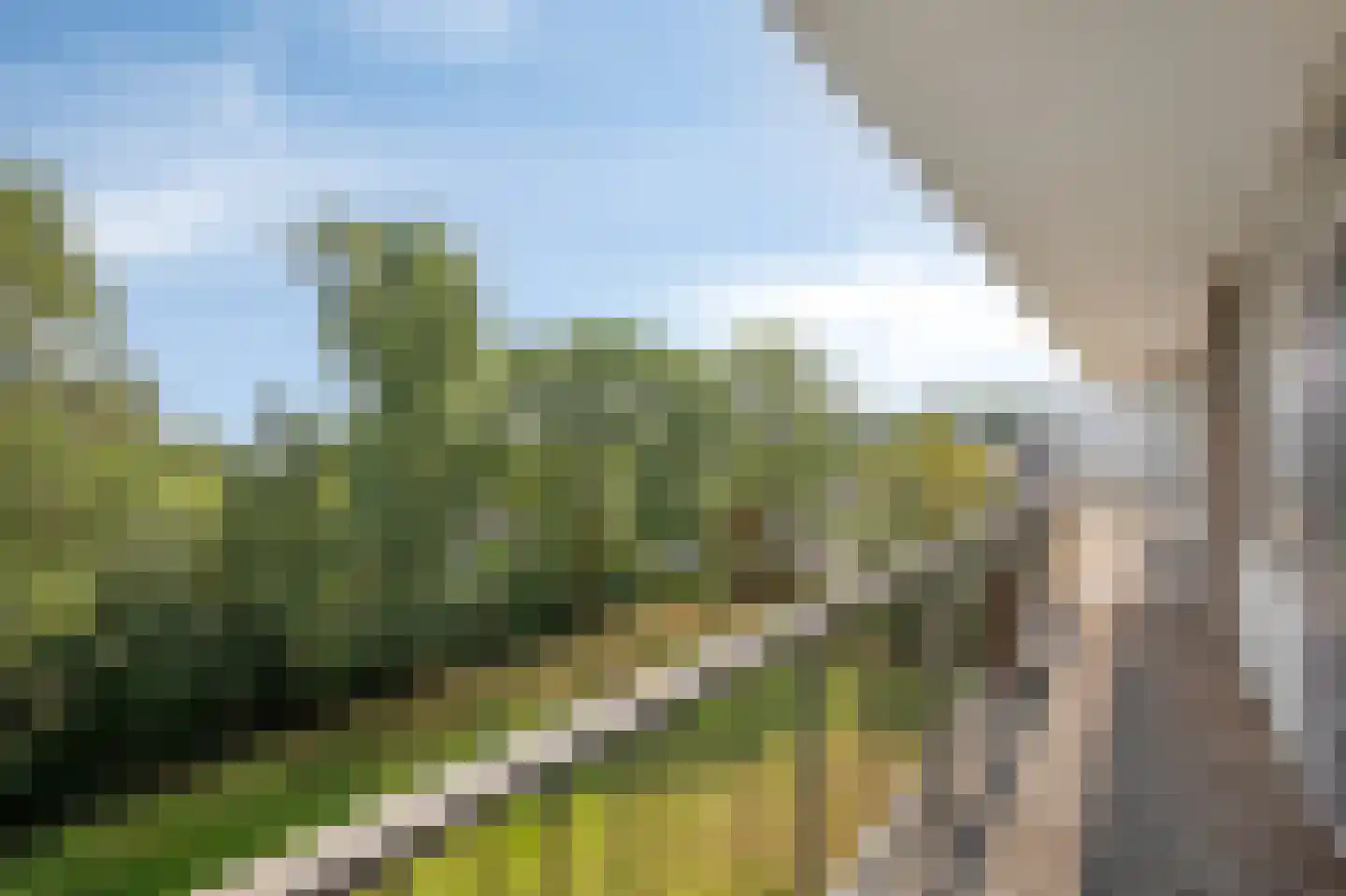 Wijenburglaan 111 Arnhem thumbnail 4