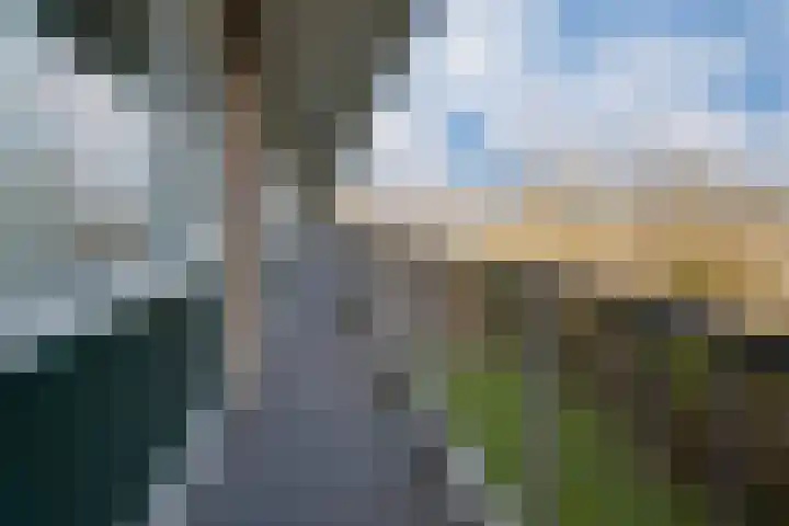 Wijenburglaan 127 Arnhem thumbnail 15