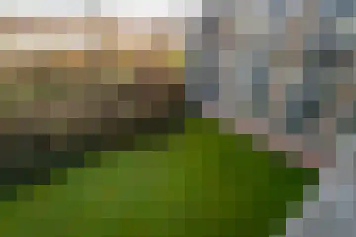 Wijenburglaan 127 Arnhem thumbnail 17