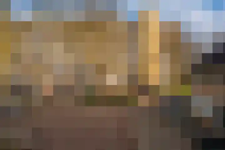 Wijenburglaan 127 Arnhem thumbnail 5