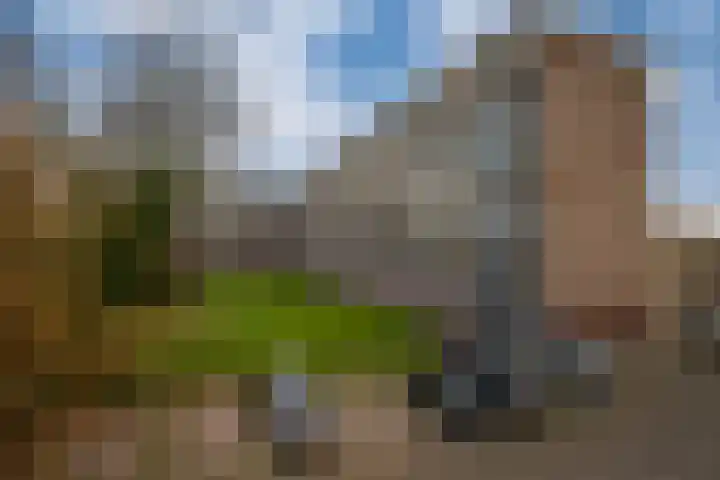 Wijenburglaan 127 Arnhem thumbnail 7