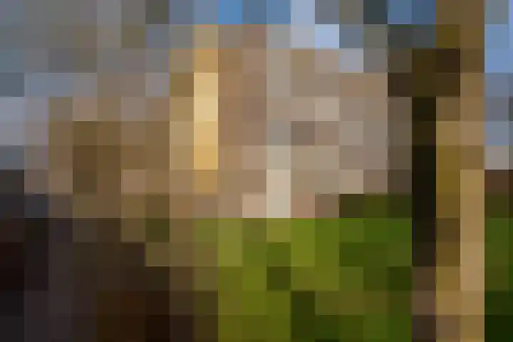 Wijenburglaan 127 Arnhem thumbnail 8
