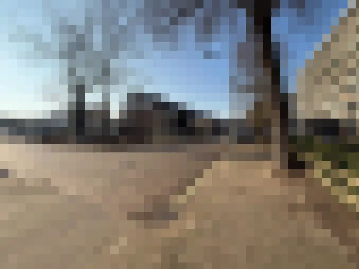 Wijenburglaan 165 Arnhem thumbnail 16