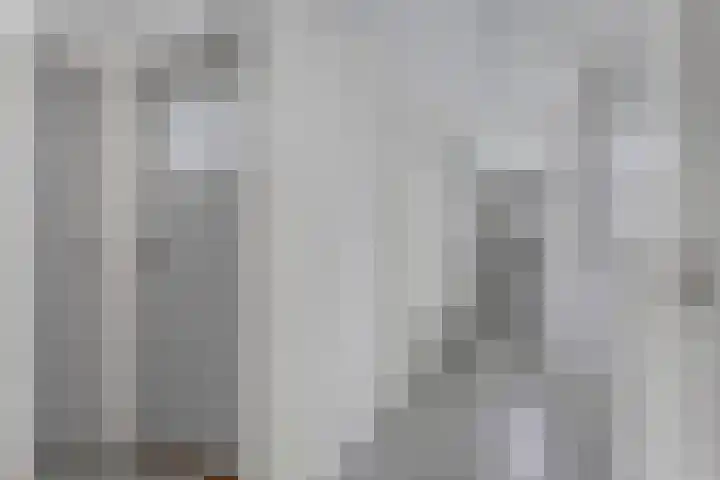 Wijenburglaan 165 Arnhem thumbnail 4