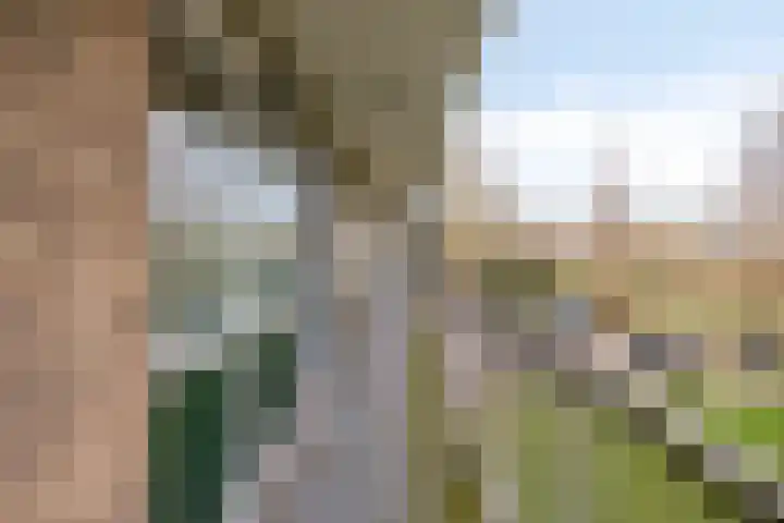 Wijenburglaan 35 Arnhem thumbnail 13