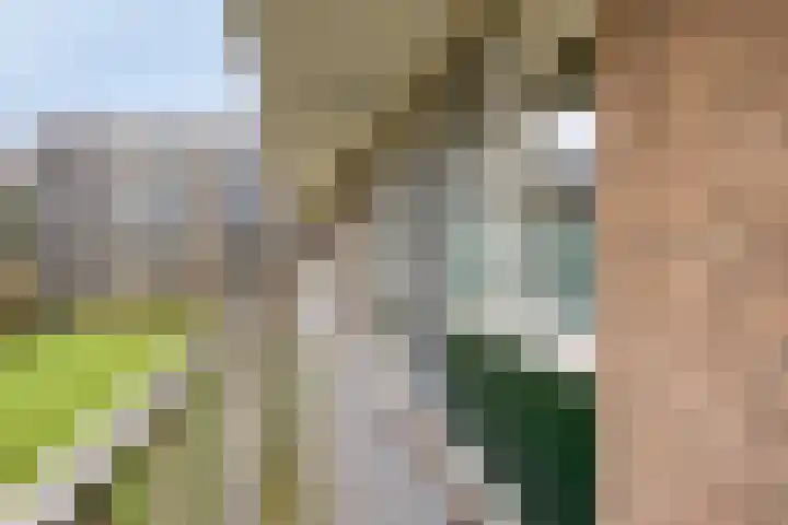 Wijenburglaan 35 Arnhem thumbnail 14
