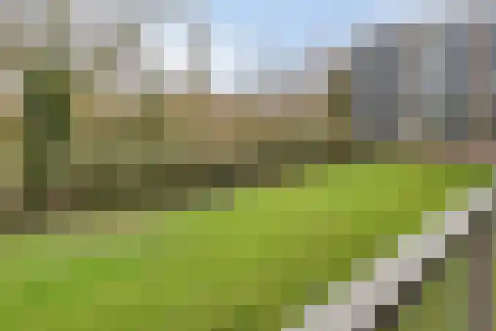 Wijenburglaan 35 Arnhem thumbnail 15