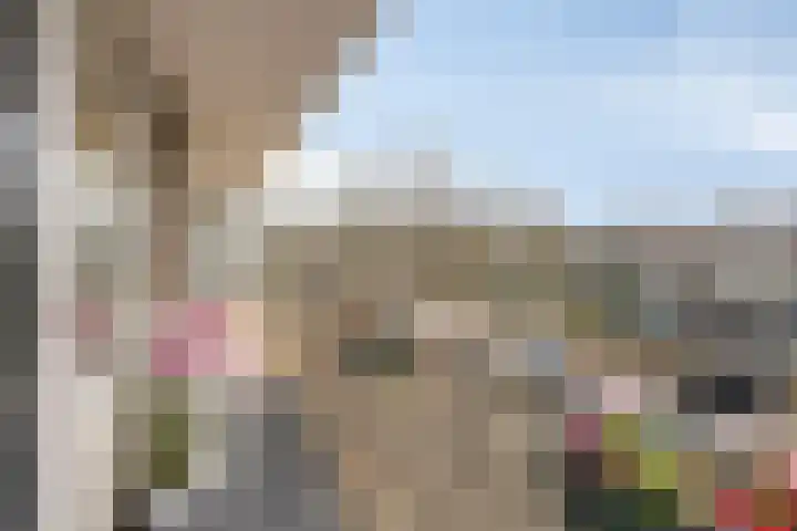 Wijenburglaan 35 Arnhem thumbnail 38