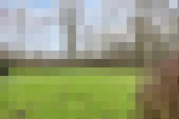 Wijenburglaan 35 Arnhem thumbnail 43