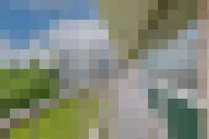 Wijenburglaan 69 Arnhem thumbnail 32