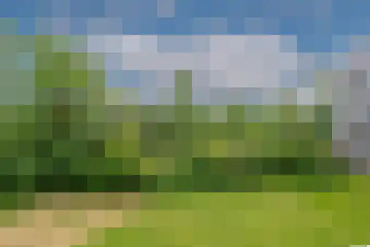 Wijenburglaan 69 Arnhem thumbnail 51