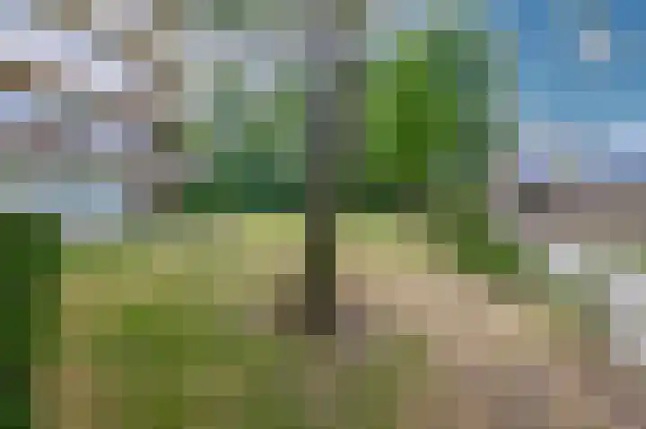 Wijenburglaan 69 Arnhem thumbnail 54